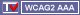 Totally Valid WCAG2 WAI AAA